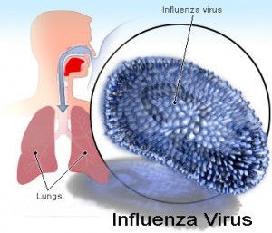 Harga Vaksin Influenz